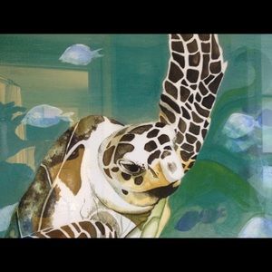 Meet your Posher, Krista